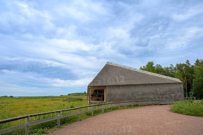 Naturum Nature Conservation Information Center at Vogelsee Tåkern, modern building with pitched roof made entirely of reed thatch next to a large reed tree, Tåkern, Vadstena, Östergötalands Län, Sweden