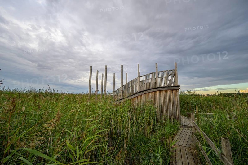 Wooden viewing platform with a view of extensive reeds under cloudy sky, Tåkern, Vadstena, Östergötalands Län, Sweden