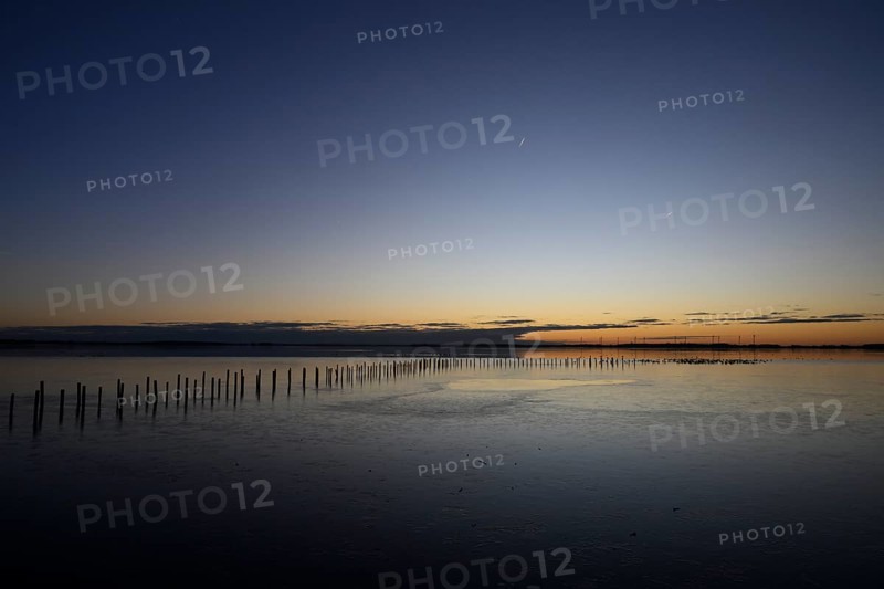 Row of posts over calm water at dusk, deep blue tones, wooden posts, boat dock posts run into the water at sunset, quiet atmosphere, Dümmer See, Lembruch, Lower Saxony, Germany