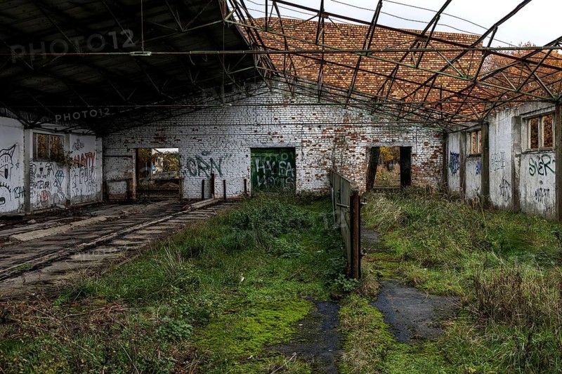 Former hall, dilapidated plant of a former agricultural production cooperative of the former GDR, LPG, Lost Place, Müggenburg, Fischland-Darss-Zingst, Western Pomerania Lagoon Area National Park, Mecklenburg-Western Pomerania, Germany