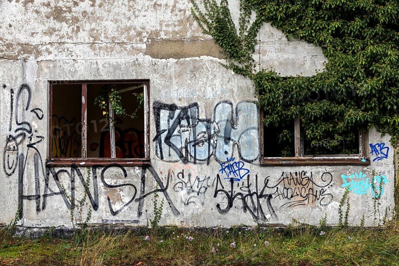 Grafity on an old house wall, dilapidated plant of a former agricultural production cooperative of the former GDR, LPG, Lost Place, Müggenburg, Fischland-Darß-Zingst, Western Pomerania National Park, Mecklenburg-Western Pomerania, Germany