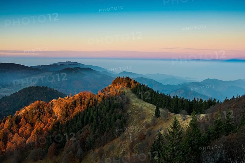 View from Belchen, morning mood with fog in autumn, sunrise, Belchen, Black Forest, Southern Black Forest, Baden-Württemberg, Germany