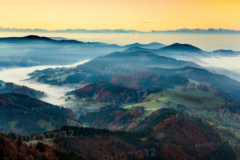 View from Belchen heading south of Wiesental and the Swiss Alps, morning atmosphere with fog in autumn, sunrise, Belchen, Black Forest, Southern Black Forest, Baden-Württemberg, Germany
