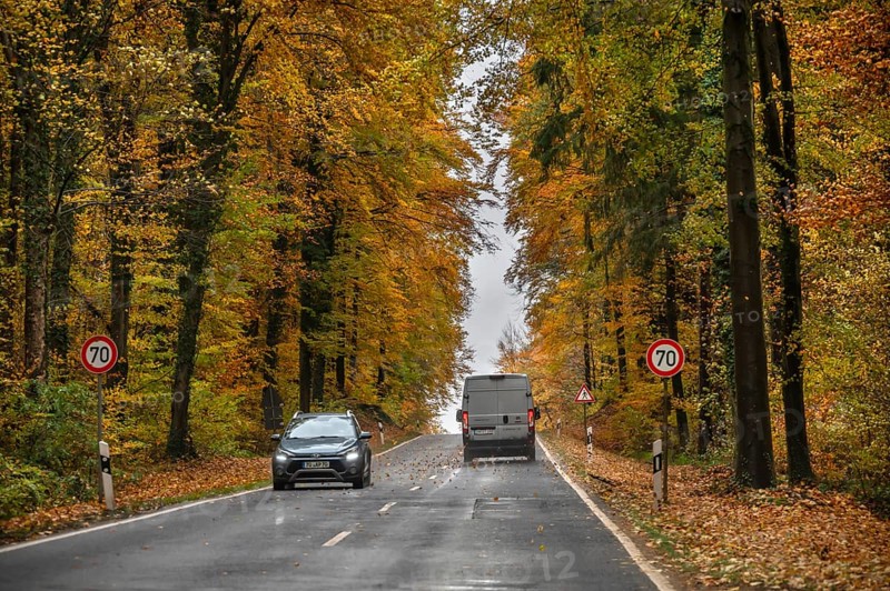 Federal road surrounded by mixed autumn forest, Gräfenberg, Upper Franconia, Bavaria, Germany