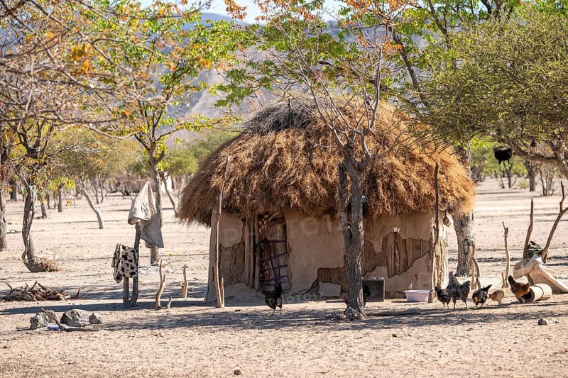 Village and hut in the savanna, Hakaona tribe, also Havakona or Hakawona, near Opuwo, Kunene, Namibia