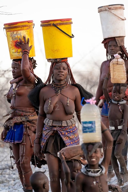 Himba woman fetching water, heavy water bucket on their heads, traditional Himba, Kaokoveld, Kunene, Namibia