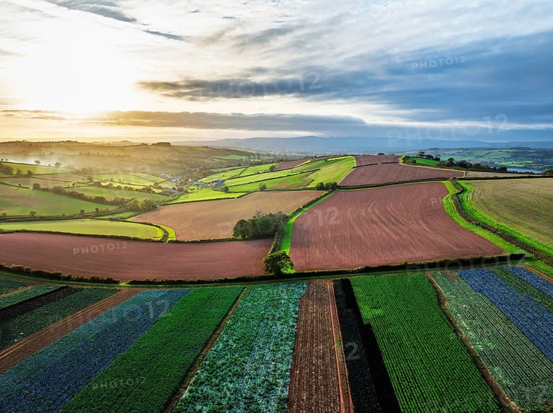 Colours of autumn Fields and Farms over Sheldon from a drone, Torbay, Devon, England, United Kingdom