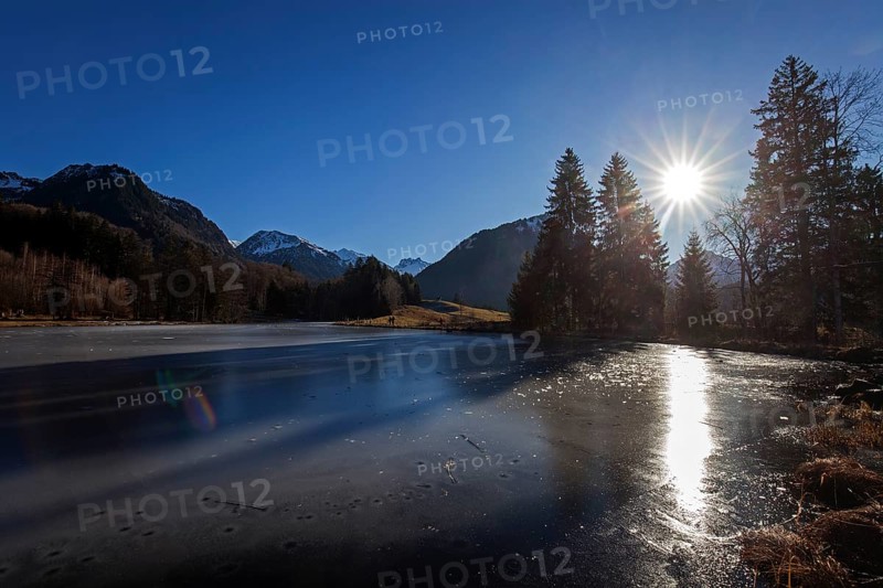 Moor, moor pond, icy, winter, backlight, back Allgäu Alps, Oberstdorf, Oberallgäu, Allgäu, Bavaria, Germany