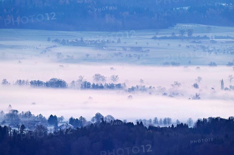 Meadows and trees in early fog, Reusstal, Merenschwand, Canton of Aargau, Switzerland