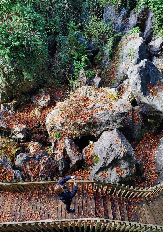 Sea of rocks in autumn, Hemer, Sauerland, North Rhine-Westphalia, Germany