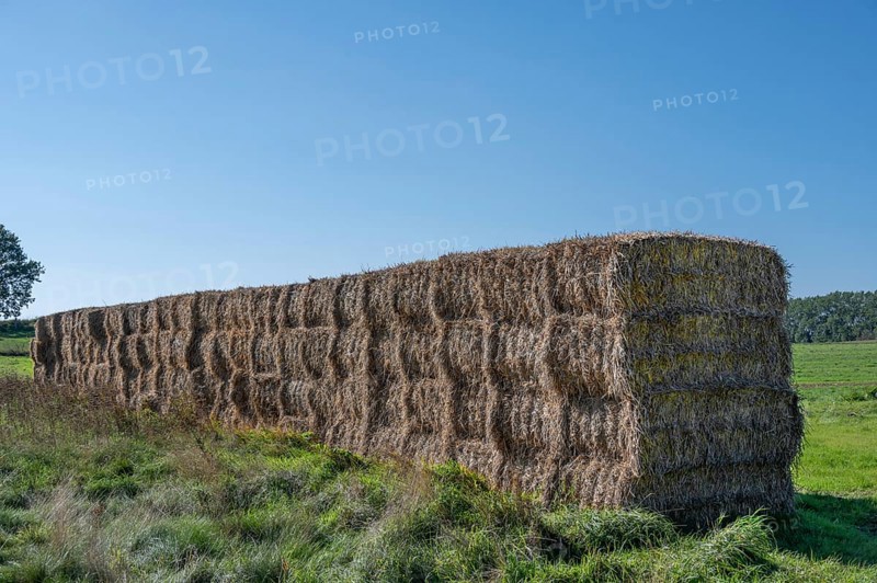 Stacked straw bales at the edge of the meadow, Ahrenshoop, Darß, Mecklenbnurg-Western Pomerania, Germany
