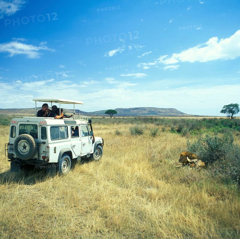 Safari participants watch lions in Serengeti, Tanzania, Africa, June 2000, vintage, retro, old, historic