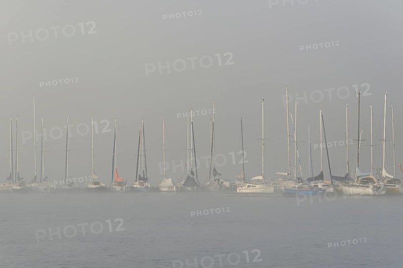 Hennesee, sailboats at boat dock in thick fog, Hennetalsperre, Sauerland-Rothaargebirge nature park Park, North Rhine-Westphalia, Germany
