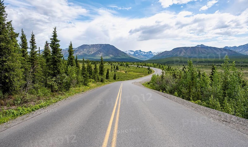 Road through Denali National Park, Taiga and Tundra with mountain scenery, Denali National Park, Alaska, USA