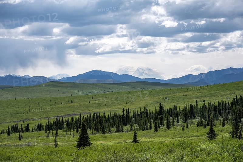Tundra and mountain landscape with Mount Denali or Mount McKinley in dramatic cloudy skies, Denali National Park, Alaska, USA