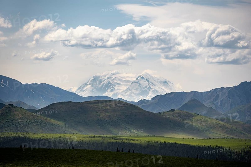 Tundra and glaciated peak of Denali or Mount McKinley, mountainous landscape, Denali National Park, Alaska, USA