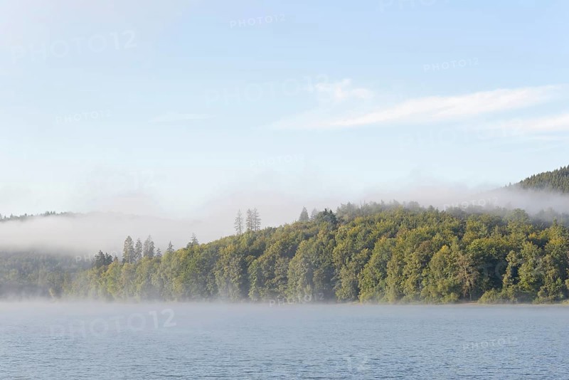 Hennesee, morning fog, blue sky, Hennetalsperre, Sauerland-Rothaargebirge nature park Park, North Rhine-Westphalia, Germany