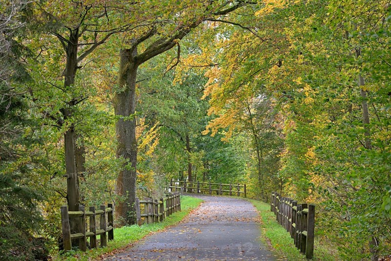 Riverside trail leads through the autumn forest at Möhnesee, Möhnetalsperre, North Rhine-Westphalia, Germany