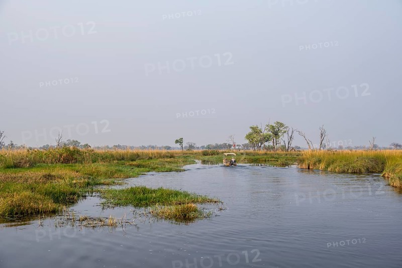 Safari by boat, tourists, Xakanaxa Lagoon, Okavango Delta, Moremi Game Reserve, Botswana