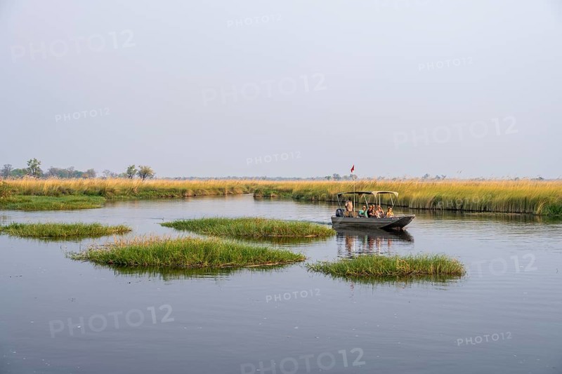 Safari by boat, tourist observing African elephant (Loxodonta africana) in the swamp, Xakanaxa Lagoon, Okavango Delta, Moremi Game Reserve, Botswana