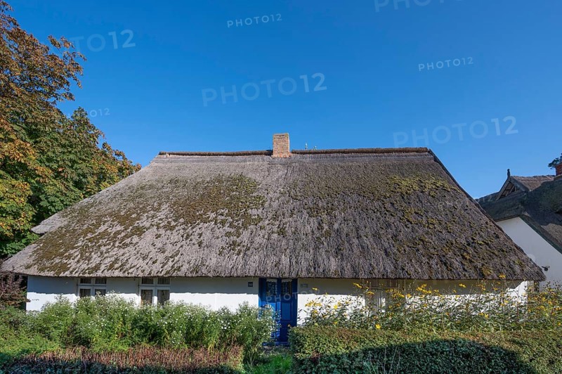 Private residential house with thatched roof, Ahrenshoop, Darß, Mecklenburg-Western Pomerania, Germany