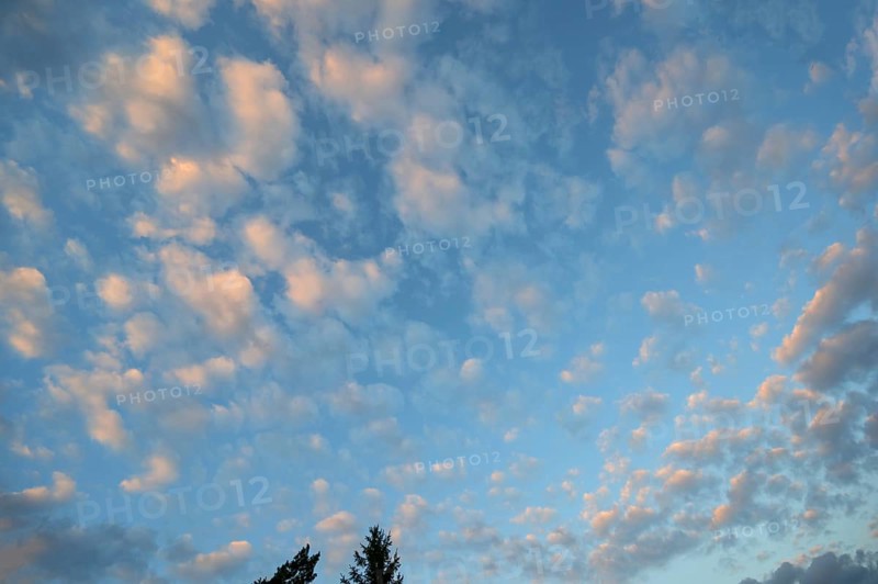 Large fleecy clouds (Altocumulus), Mecklenburg-Vorpommern, Germany