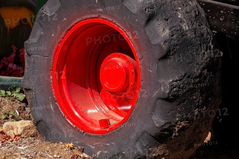 Close-up and rear side view of large heavy duty black rubber tire mounted on red rim on monster truck vehicle, Quebec, Canada