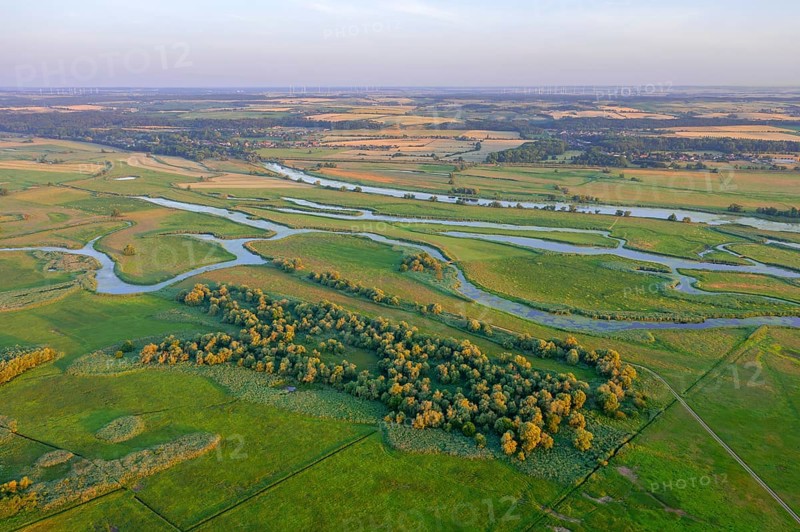 Aerial view over the Oder river in the German-Polish nature reserve Lower Oder Valley International Park, Uckermark district, Brandenburg, Germany