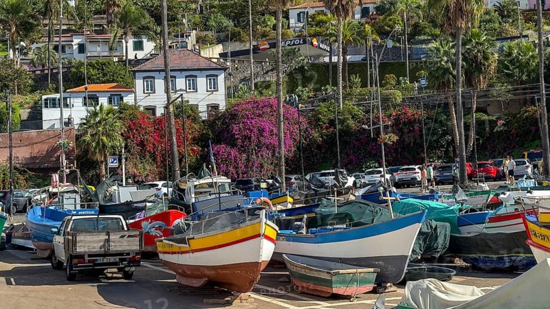Camera de Lobos fishing village, harbour with fishing boats, Madeira, Portugal