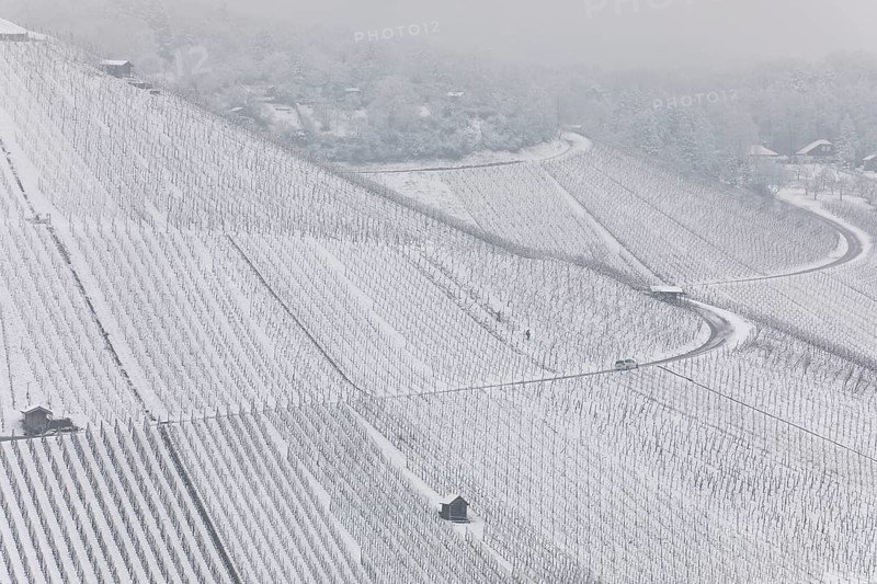 Snowy vineyards in the Stuttgart region in winter. Winter view of the vineyards in Fellbach, Kappelberg, Germany