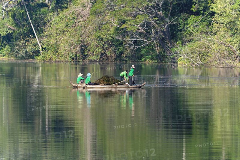Women harvest seagrass, water channel in Angkor Thom, UNESCO World Heritage Site, Siem Reap, Cambodia
