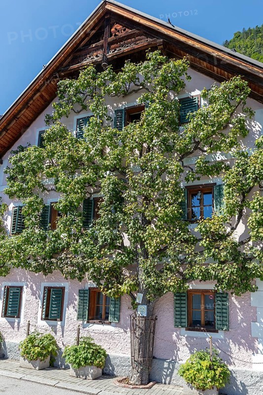 A, Hallstatt