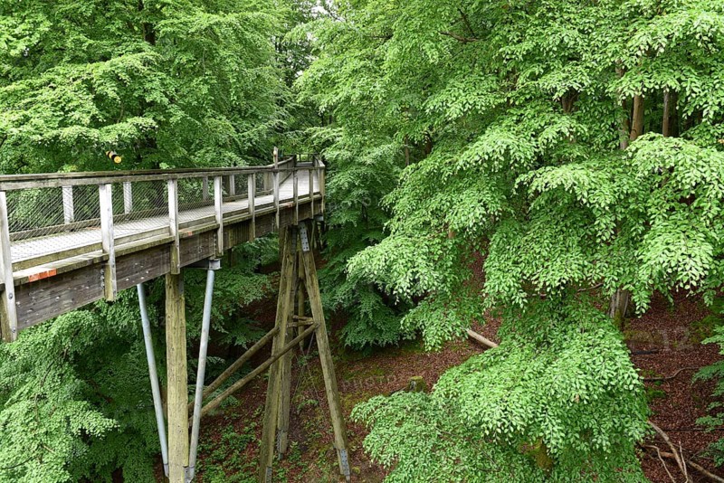 Treetop Trail on Rügen, Natural Heritage Center, Mechlenburg-Vorpommern, Germany