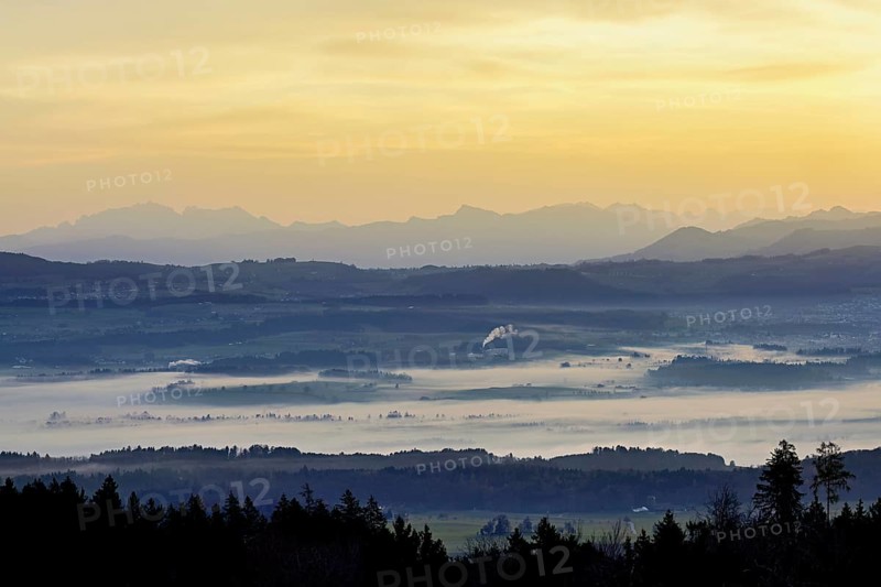 View from Horben of the Reuss Valley covered in fog, behind it the Alpstein with the Säntis in the light of the rising sun, Beinwil-Freiamt, Canton, Aargau, Switzerland