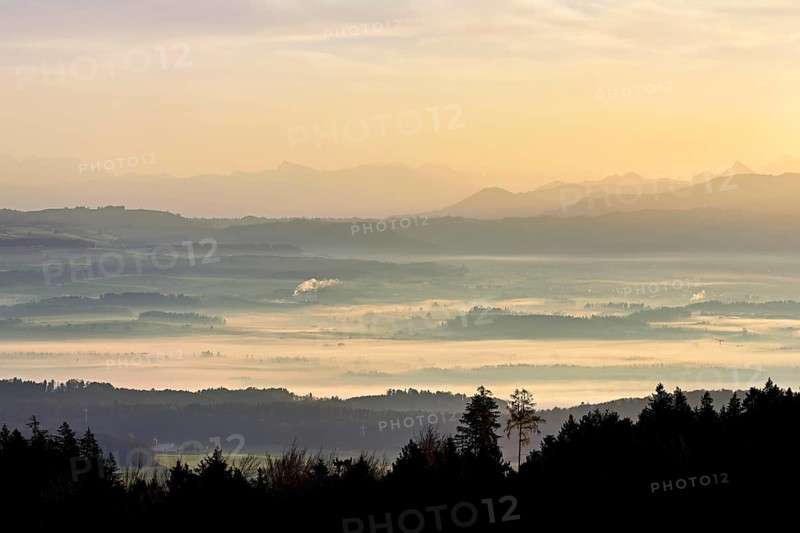 View from Horben of the Reuss Valley covered in fog, behind it the Glarus Alps in the light of the rising sun, Beinwil-Freiamt, Canton, Aargau, Switzerland