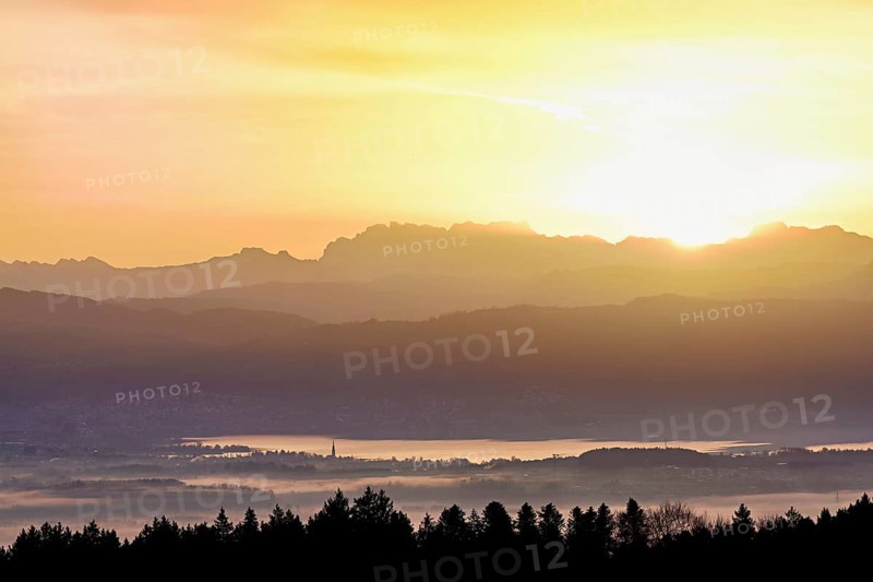 View from Horben of Lake Zug with the city of Cham and Zug covered in fog, behind it the snow-capped mountains Flübrig and Vrenelisgärtli in the light of the rising sun, Beinwil-Freiamt, Canton, Aargau, Switzerland