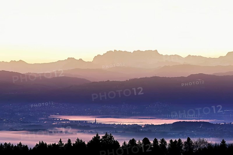 View from Horben of Lake Zug with the town of Cham and Zug, behind it the snow-capped mountains Flübrig and Vrenelisgärtli in the light of dawn, Beinwil-Freiamt, Canton, Aargau, Switzerland