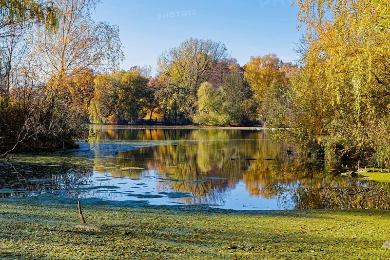 Autumn colors on Sandbrack, a lake in the Kirchwerder district of Hamburg. Fünfhausen, Kirchwerder, Hamburg, Germany