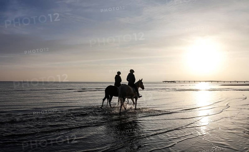Two female riders ride their horses through the shallow water of the Baltic Sea at sunrise, Scharbeutz, 29.11.2025, Scharbeutz, Schleswig-Holstein, Germany