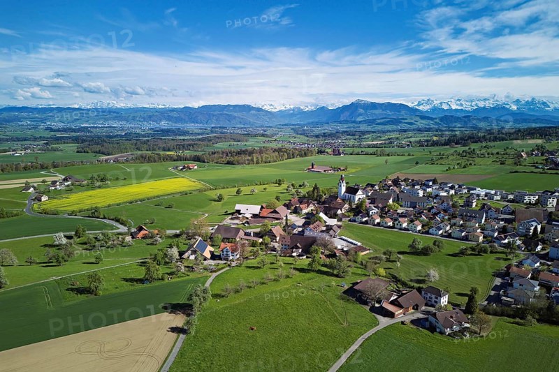 View of town with field of blooming rapeseed, Rigi and the snowy Alps in the back, Beinwil, Freiamt, Canton, Aargau, Switzerland