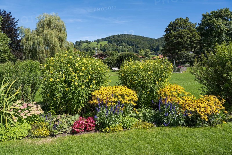 Blooming flowers in the spa garden, town of Schliersee, Upper Bavaria, Bavaria, Germany