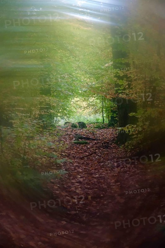 Symbolic picture for tunnel vision and depression, Germany