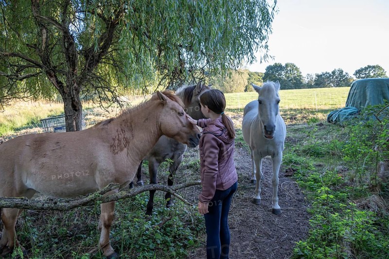Young girl with her horses in the pasture, Othenstorf, Mecklenburg-Western Pomerania, Germany