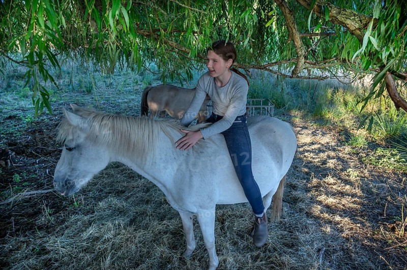 Young girl sitting on her white mare under a willow (Salix), Othenstorf, Mecklenburg-Western Pomerania, Germany