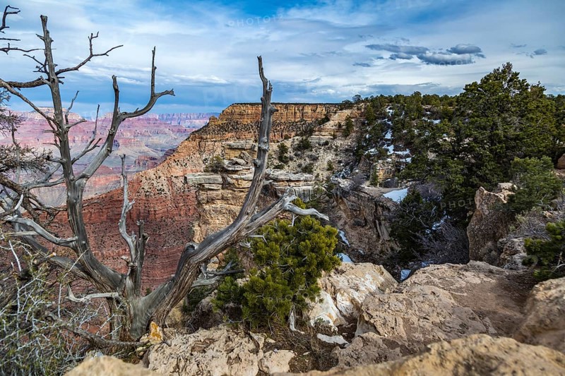 The Grand Canyon in northern Arizona
