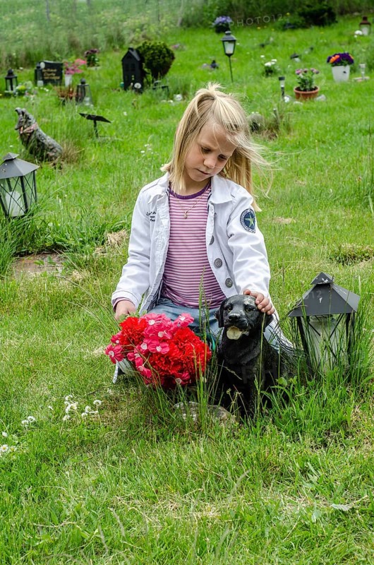 Grieving blonde 7-year-old girl at her dog's grave at pet cemetery in Ystad, Skåne County, Sweden, Scandinavia