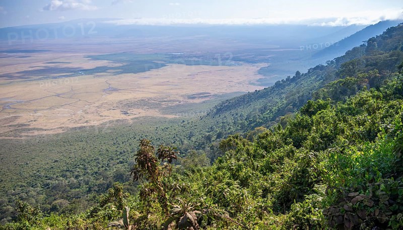 View of Ngorongoro Crater, Crater Viewpoint, Forest and Savanna Landscape, Ngorongoro Conservation Area, Tanzania