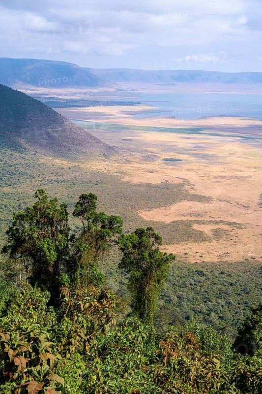 View of Ngorongoro Crater, Crater Viewpoint, Forest and Savanna Landscape, Ngorongoro Conservation Area, Tanzania