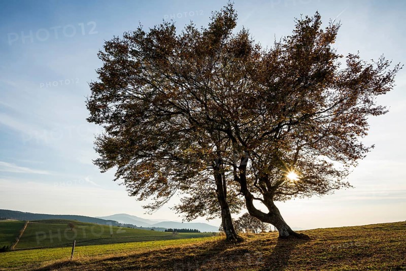 Weather forecast in autumn, sunset, Schauinsland, Freiburg im Breisgau, Black Forest, Baden-Württemberg, Germany