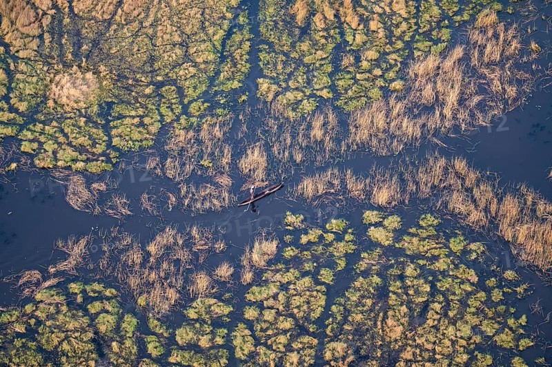 Marshland, marshland, Kavango fishermen with dugout boat, Mokoro, aerial view, Okavango Delta, Botswana